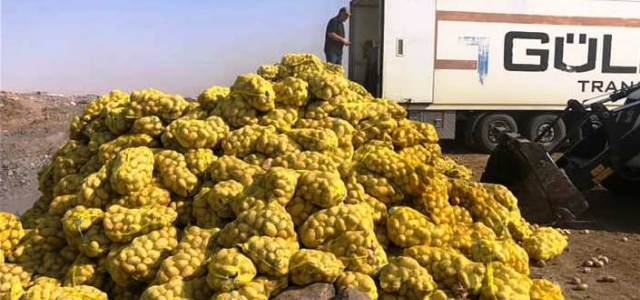 400 ton ihraç patatesimizi yaktılar