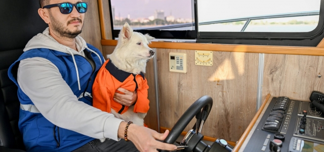 BÜYÜKŞEHİR ÇEVRE KORUMA VE KONTROL DAİRESİ’NİN KÖPEĞİ ‘KÖPÜK’ DENETİME ÇIKIYOR...
