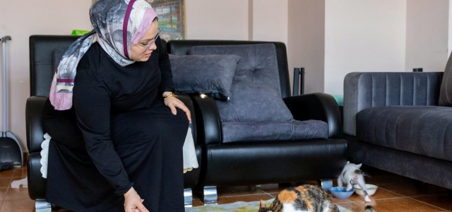 BÜYÜKŞEHİR KORUMASINDAKİ ALACA’NIN YAVRULARI SAHİPLENDİRİLMEYE HAZIRLANIYOR...
