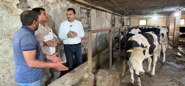 CHP’Lİ BAŞEVİRGEN BESİCİLERİ DİNLEDİ...  