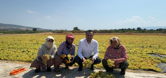 CHP’Lİ BAŞEVİRGEN’E DERT YANAN ÜZÜM ÜRETİCİSİ: “SON UMUT OLAN ÜZÜM DE MAALESEF DÜN YAĞAN YAĞMURLA BİRLİKTE SELİN İÇİNDE KAYBOLUP GİTTİ, KOCA BİR YILIMIZ DA GİTTİ...”