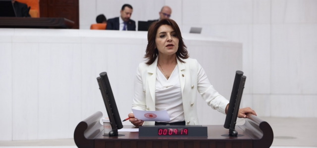 CHP'li Kış TBMM Genel Kurulu’nda Kadına Yönelik Şiddetle Mücadeleye Dikkat Çekti...