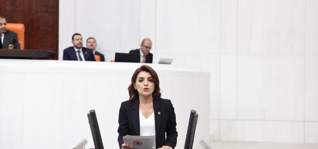  CHP’li Kış’tan kadın cinayetleri soru önergesi...