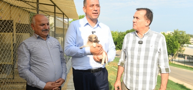 CHP’li Vekiller Hayvan Barınağında...