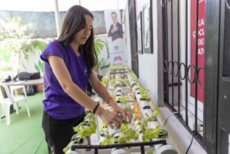 Mersin Büyükşehir Belediyesi tarafından 'Topraksız Tarım Uygulaması’ başlatıldı