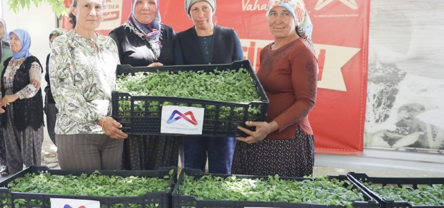 MERSİN BÜYÜKŞEHİR GÜLNAR’DA DOMATES FİDESİ DAĞITTI...