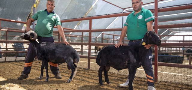 MERSİN BÜYÜKŞEHİR’DEN TÜRKİYE’YE ÖRNEK PROJE...