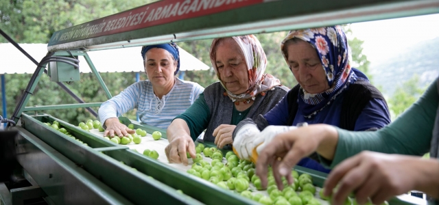   MERSİN BÜYÜKŞEHİR’İN ÜRETİCİYE DESTEKLERİ SÜRDÜRÜYOR...