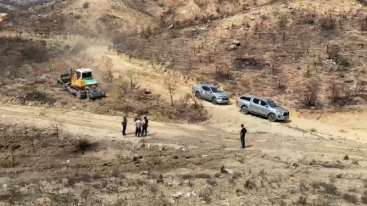 Mersin'de Sonbaharda Yanan Sahalarda Fidanlar Toprakla Buluşacak