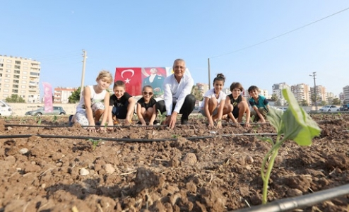 Şehir Manzaralı Biberiye ve Sebze Tarlası