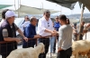 BAŞKAN YILDIZ’DAN KURBAN SATIŞ ALANINA ZİYARET...