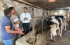 CHP’Lİ BAŞEVİRGEN BESİCİLERİ DİNLEDİ...
