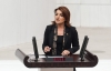 CHP’li Kış: “Sarayın saltanatına karşı halkın düzenini kuracağız...”