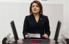 CHPli Kış’tan iktidara tepki...