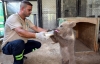 TARSUS DOĞA PARKI’NA YENİ SAKİNLER KATILIYOR