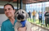 TOROSLAR’DA CAN DOSTLARA 30 DÖNÜMLÜK YENİ YUVA...