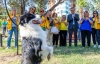 Yenişehir Belediyesinden patili dostlara özel park...