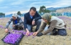 Yenişehir Belediyesi’nden safran üreticisine destek...