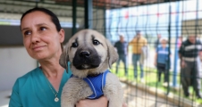  TOROSLAR’DA CAN DOSTLARA 30 DÖNÜMLÜK YENİ YUVA...