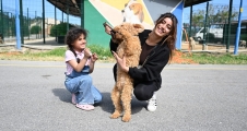  MERSİN BAROSU HAYVAN HAKLARI KOMİSYONU, PATİKÖY’Ü ZİYARET ETTİ...