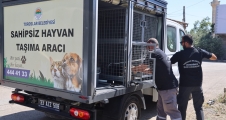  TOROSLAR BELEDİYESİNİN VETERİNER İŞLERİ MÜDÜRLÜĞÜ ÇALIŞMALARINA BAŞLADI...