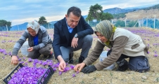  Yenişehir Belediyesi’nden safran üreticisine destek...