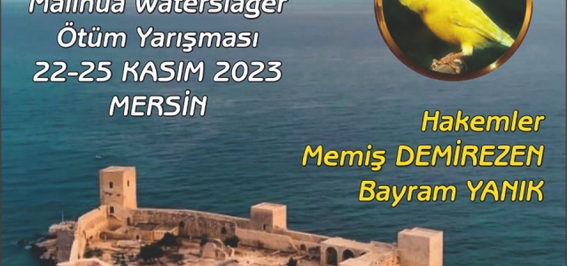 YARIŞLAR BAŞLIYORRRR