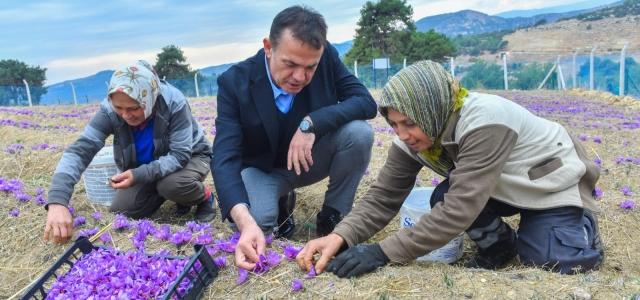 Yenişehir Belediyesi’nden safran üreticisine destek...