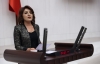 CHP’li Kış’tan gıda fiyatları eleştirisi...